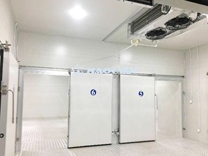 Раздвижная дверь холодильной камеры с двойным открыванием