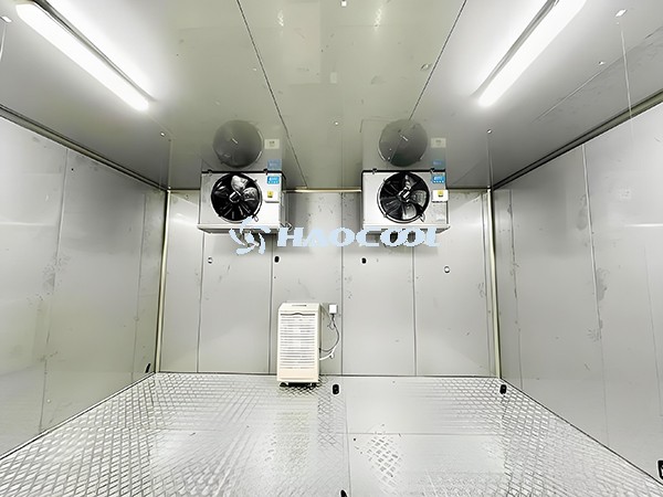 Строительство холодильных камер для больниц