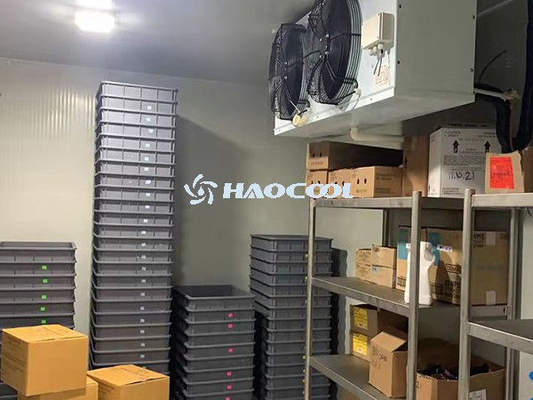 Холодильная камера в центре общественного питания