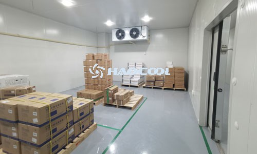 Ключ к энергоэффективности и стабильности холодильных систем