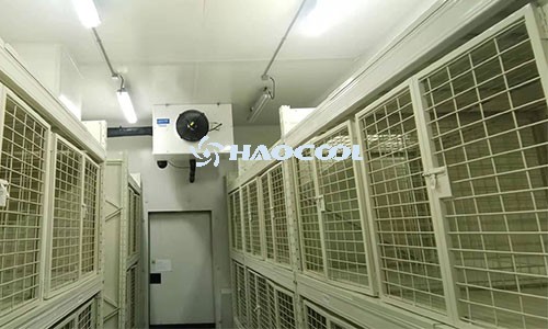 Технические аспекты холодного хранения чеснока