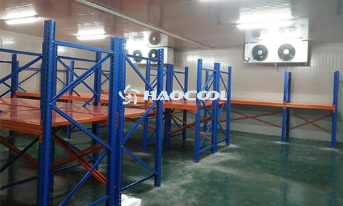 Сколько типов уплотнительных лент для холодильных дверей: от материала до глубины анализа сцены