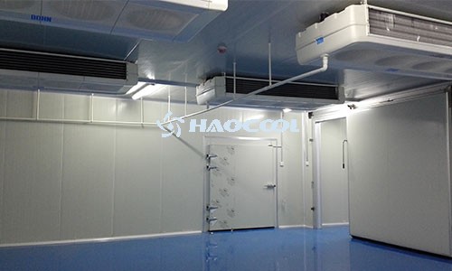 Принцип работы кондиционируемого холодильника, что такое кондиционируемое холодильное хранилище?