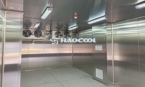 Способы хранения апельсинов в холодном хранилище