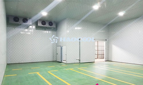 Причины чрезмерной влажности холодильного хранилища и способы их решения.