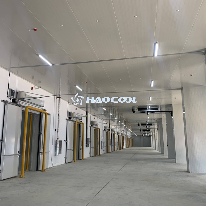 Строительство холодного хранилища