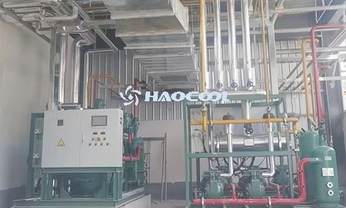 Способы хранения чеснока в холодном хранилище.