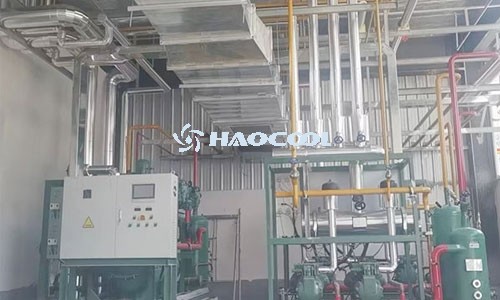 Как регулировать температуру и влажность при хранении фруктов в холодном хранилище?