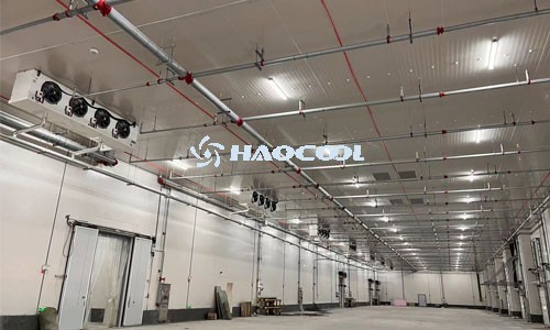 Нужно ли дезинфицировать холодильник после его постройки?