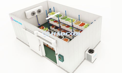 Холодильный склад с контролируемой атмосферой