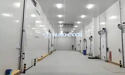 Промышленные холодильные камеры: основа современного хранения продуктов и материалов