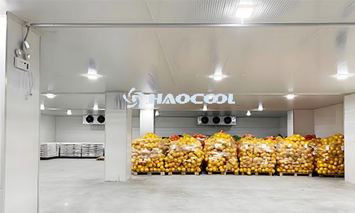 Особенности автоматизации холодильных складов: эффективность в экстремальных условиях