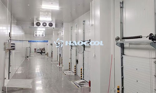 Как выбрать хладагент для овощехранилищ