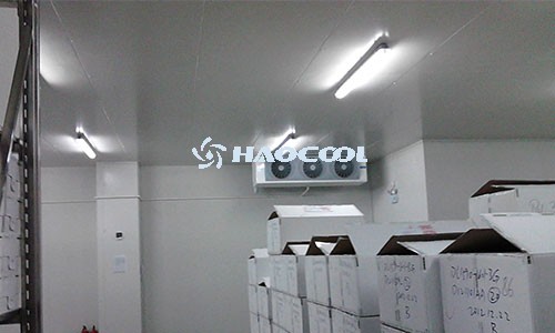 Как настроить холодильную камеру: пошаговая инструкция и рекомендации