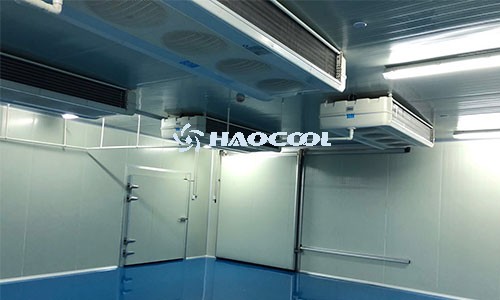 Проект холодильной камеры для замороженных продуктов: требования и решения