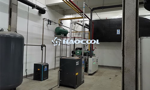 Морозильные склады для хранения молочной продукции и полуфабрикатов: технологии и требования