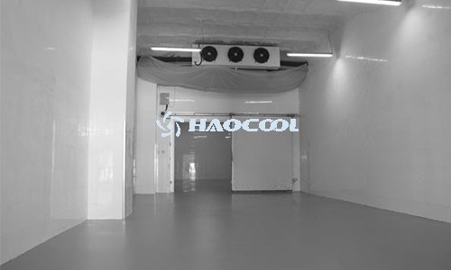 Что выгоднее: собственный холодильный склад или аренда — сравнение затрат и преимуществ