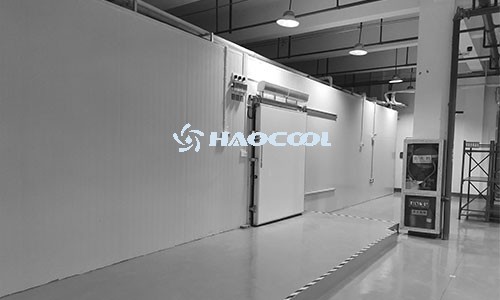 технология хранения продуктов с регулируемой газовой средой в холодильных складах