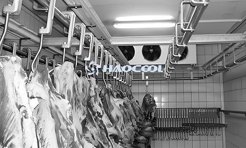 Требования к строительству мясных холодильников