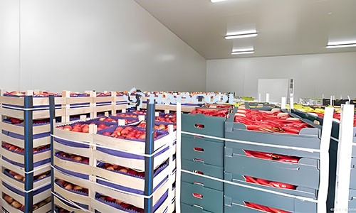 проектирование и оснащение фруктохранилища