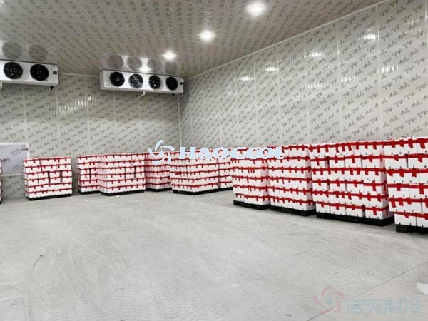 Конструкция складов с контролируемой атмосферой